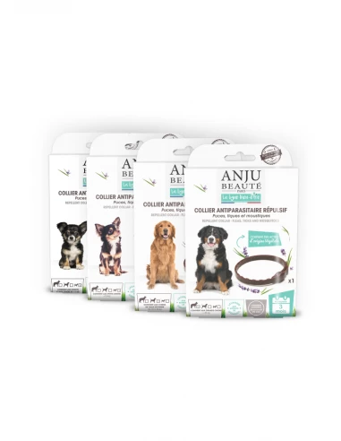 ANJU - Collier antiparasitaire répulsif pour Chien