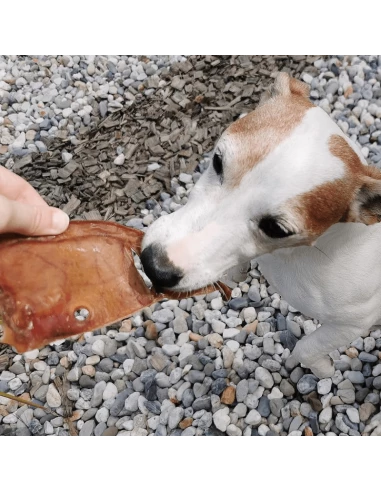 

Lote de 5 orejas de cerdo para perros DAILYS